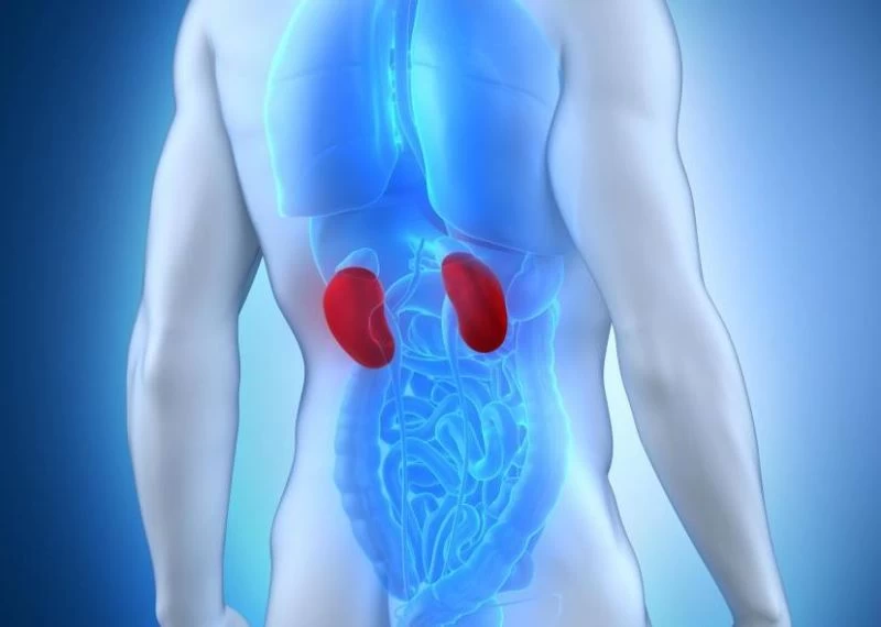 Νεφρική ανεπάρκεια: Ποια είναι τα συμπτώματα που μαρτυρούν την πάθηση;